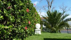 Une brousse avec des fleurs roses et une statue blanche dans une cour dans l'établissement AZORES GARDEN HOUSE - Private Suites & Apartments - Automatic Self Check-in, à Ponta Delgada
