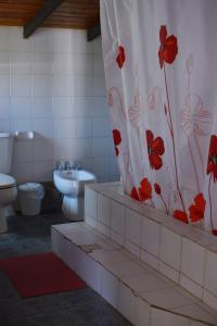 a bathroom with a toilet and a shower curtain with flowers at Samadi Hostel Uspallata in Uspallata