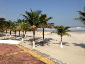 a row of palm trees on a beach with the ocean at Apartamento frente ao mar Florida Praia Grande in Praia Grande
