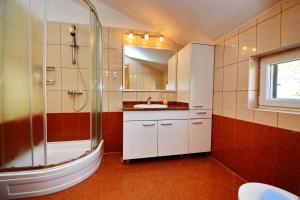uma casa de banho com um chuveiro e um lavatório. em Apartments SOL em Soline