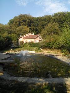 um lago de água em frente a uma casa em Le Jardin Ombragé em Saint-Paul-dʼIzeaux