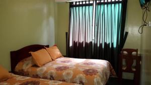 Postel nebo postele na pokoji v ubytování Hostal Los Lirios