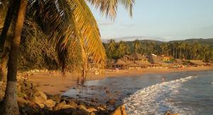 einen Strand mit einer Palme und eine Gruppe von Menschen in der Unterkunft Hotel Quinta Mar y Selva in Chacala