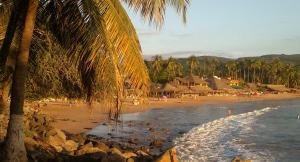 a beach with a palm tree and a group of people at Hotel Quinta Mar y Selva in Chacala