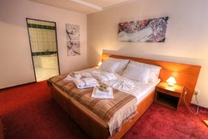 Postel nebo postele na pokoji v ubytování Hotel SOREA TRIGAN