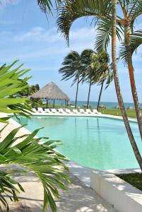 einen Pool mit Stühlen und Palmen in der Unterkunft Hotel Boca de Ovejas in El Morro