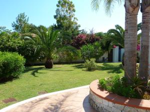 a garden with palm trees and grass and a building at Bed And Breakfast Perla Del Sole in Arenella
