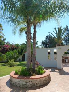 two palm trees in a circle in a courtyard at Bed And Breakfast Perla Del Sole in Arenella