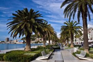 une rangée de palmiers au bord d'une étendue d'eau dans l'établissement Apartman Jelinić, à Split