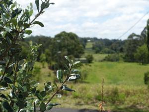 Gallery image of Winston Cottage in Palmwoods