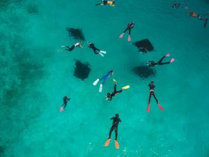 a group of people on surfboards in the water at Royal Island Resort at Baa Atoll Biosphere Reserve in Baa Atoll