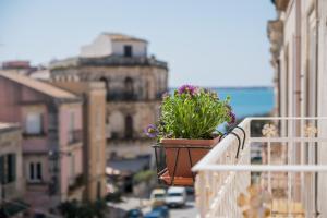 eine Topfpflanze, die auf dem Vorsprung eines Balkons sitzt in der Unterkunft Gran Bretagna Boutique Hotel Ortigia in Syrakus