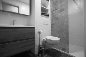 La salle de bains est pourvue de toilettes, d'un lavabo et d'une douche. dans l'établissement O-Mer Oostende, à Ostende