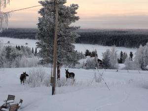 Knappgården durante l'inverno