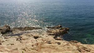 Fotografie z fotogalerie ubytování Elena Mare v destinaci Novi Vinodolski