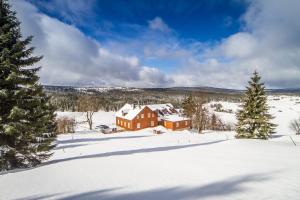 Hotel Jizerka 4 en invierno