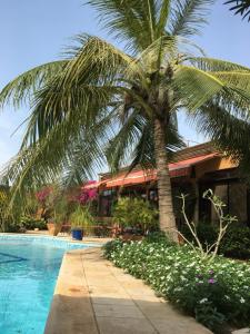 una palmera frente a una casa con piscina en Le Dakan en Saly Portudal