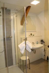 a bathroom with a shower and a sink at Fewo Friedrichsruh in Bad Elster