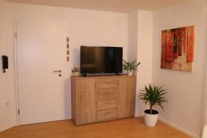 TV de pantalla plana en la parte superior de una cómoda de madera en Fewo Friedrichsruh en Bad Elster