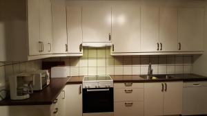 Afbeelding uit fotogalerij van Borggården Apartment in Hultsfred +5 foto's