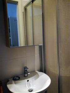 ウィーンにあるLe petit appartementのバスルーム(洗面台、鏡付)