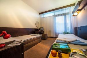 Fotografie z fotogalerie ubytování Hotel SOREA MARMOT v Demänovské dolině