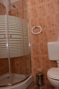 a shower stall in a bathroom with a toilet at Pensiunea Margareta in Sita Buzăului