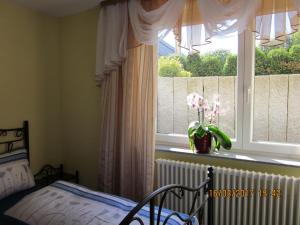 ein Schlafzimmer mit einem Bett und einem Fenster mit einer Vase aus Blumen in der Unterkunft Luba Rube in Rust