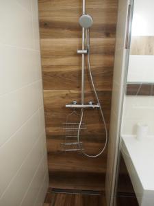 um chuveiro na casa de banho com uma parede de madeira em Appartement Noécie em Les Crosets