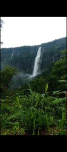 Word Root Map Echo Falls Root Bridge Guest House, Cherrapunji (updated prices 2027)