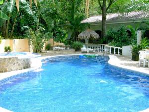 a large blue swimming pool in a yard at Hotel Villa Romantica in Manuel Antonio