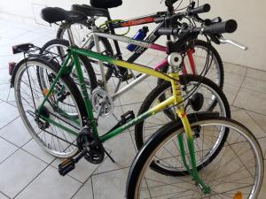 Jazda na bicykli v okolí ubytovania Apartments Henc