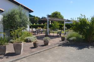 サン・ピエール・ドレロンにあるLes Jardins d'Oléronの鉢植えの植物と傘が備わるパティオ