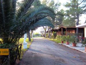 Zahrada ubytování VIOLA Club Village & Camping