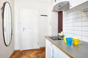 Kuchyňa alebo kuchynka v ubytovaní Charming apartment in the Old Town