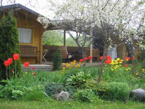 Zahrada ubytování Kaare Guesthouse