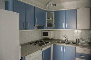 Kuchyň nebo kuchyňský kout v ubytování Apartamento Los Naranjos