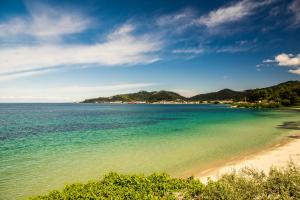 a view of a beach with trees and the ocean at Hotel Villa Nisteri in Limenas