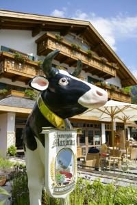 Hotel Maximilian kisállat-vendégei