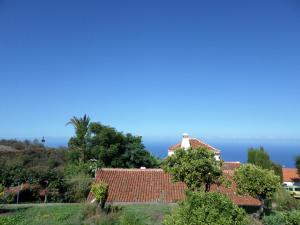 Природа в окрестностях дома для отпуска