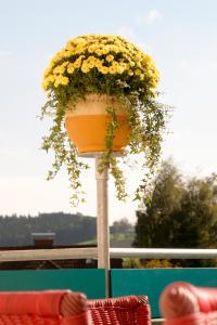 un piantatore con fiori gialli su un palo di Gasthof Erzherzog Franz Ferdinand a Markt Sankt Florian Altre 17 foto