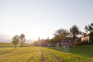Příroda nedaleko apartmánu