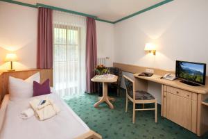 TV a/nebo společenská místnost v ubytování Hotel Berghof