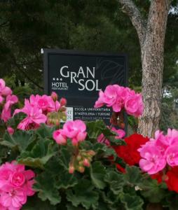 een bord voor een bos roze bloemen bij Gran Sol Hotel in San Pol de Mar