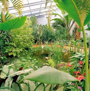 Vonkajšia záhrada v ubytovaní Ibis budget Orléans Sud Comet