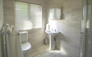 Un baño blanco con inodoro y lavabo. en La Rose Douglas Guesthouse No loadshedding, en Douglas 16 fotos más