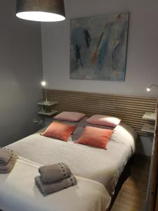 a bedroom with two beds with pillows at Appartement Colmar Petite Venise in Colmar