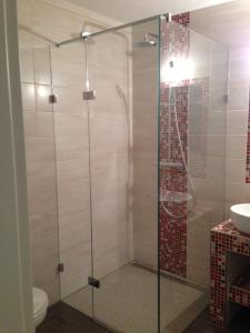 een douche met een glazen deur in de badkamer bij Gästezimmer Hille in Bad Schandau