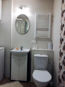 a bathroom with a toilet and a sink and a mirror at Butų nuoma Šilutėje in Šilutė +8 photos