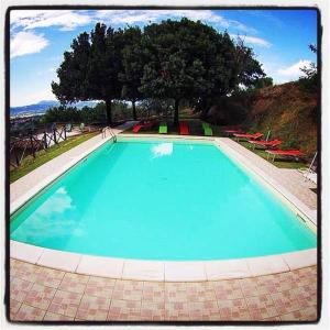 Il Poggio Delle Ginestre tesisinde veya buraya yakın yüzme havuzu